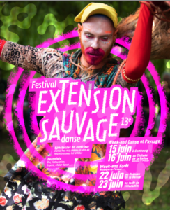 Lire la suite à propos de l’article Festival extension sauvage